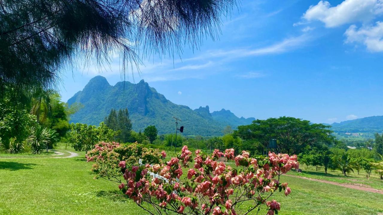 ไร่วิวทิวเขา ลานกางเต็นท์ ฟาร์มสเตย์ Ban Nong Tum Dış mekan fotoğraf